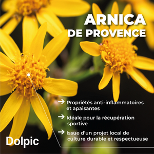 Gel Cryo - 2 contenances - Dolpic Dolpic