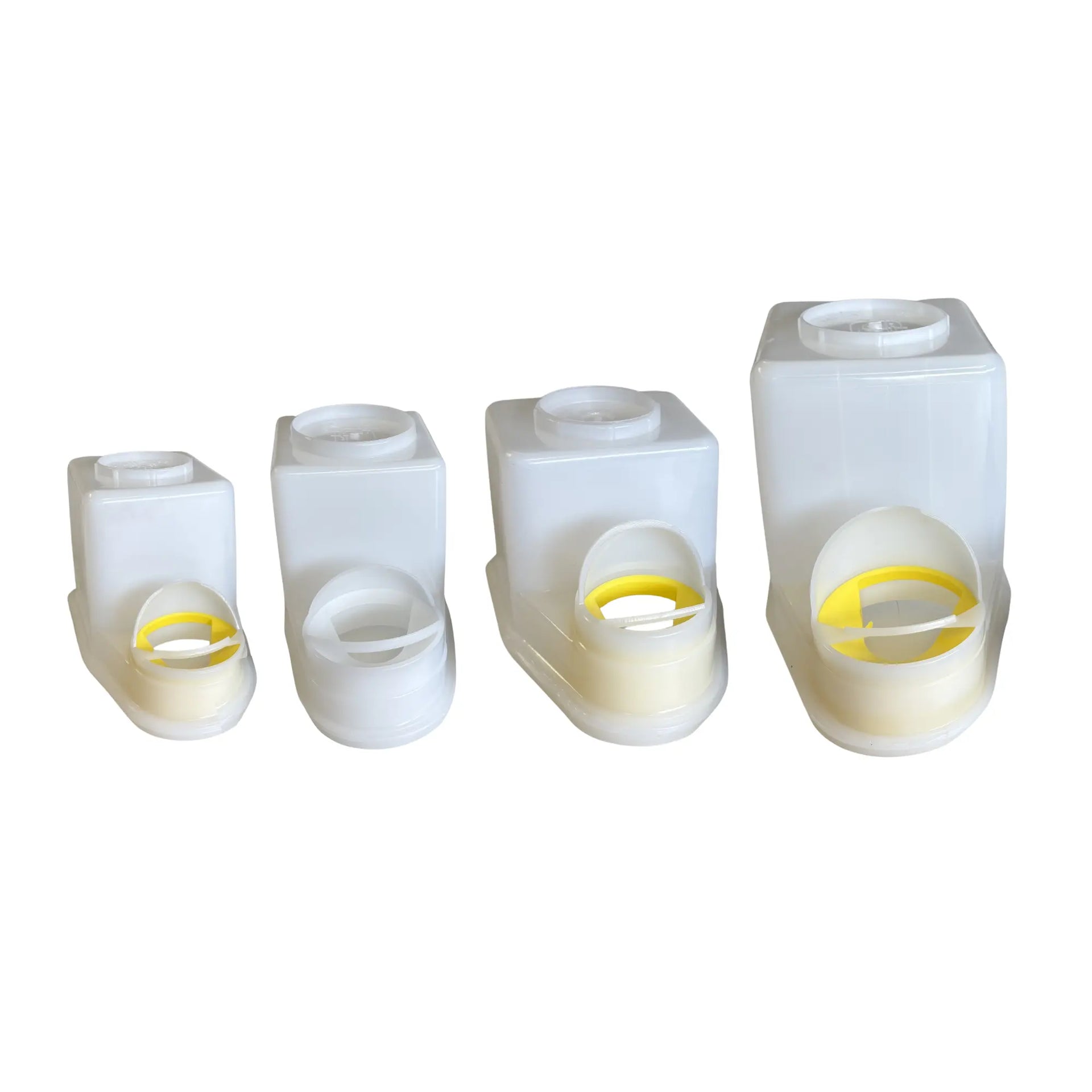 Dispensador de pegamento con cepillo - 4 capacidades disponibles My Podologie 