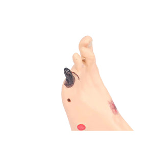 Modelo de pie con heridas - Anatomía y patología Mi Podología 