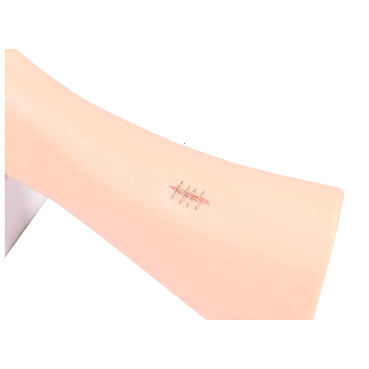 Modelo de pie con heridas - Anatomía y patología Mi Podología 