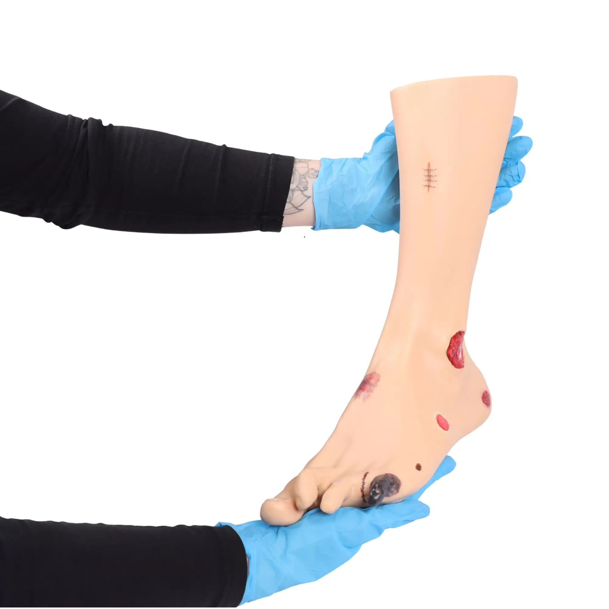 Modelo de pie con heridas - Anatomía y patología Mi Podología 