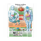 Tablero anatómico - Diabetes - Anatomía y patología