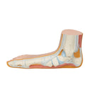 Esqueleto de un pie plano (Pes Planus)